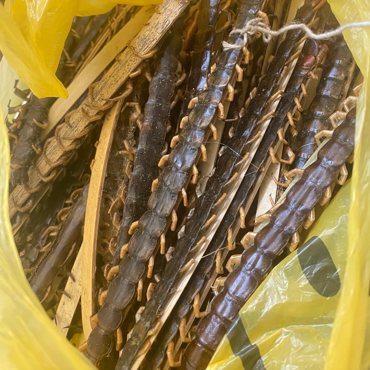 哪有硬不起来的宗筋，多半是肝被堵住了，引血入茎，男人真的抵不住


2020 年