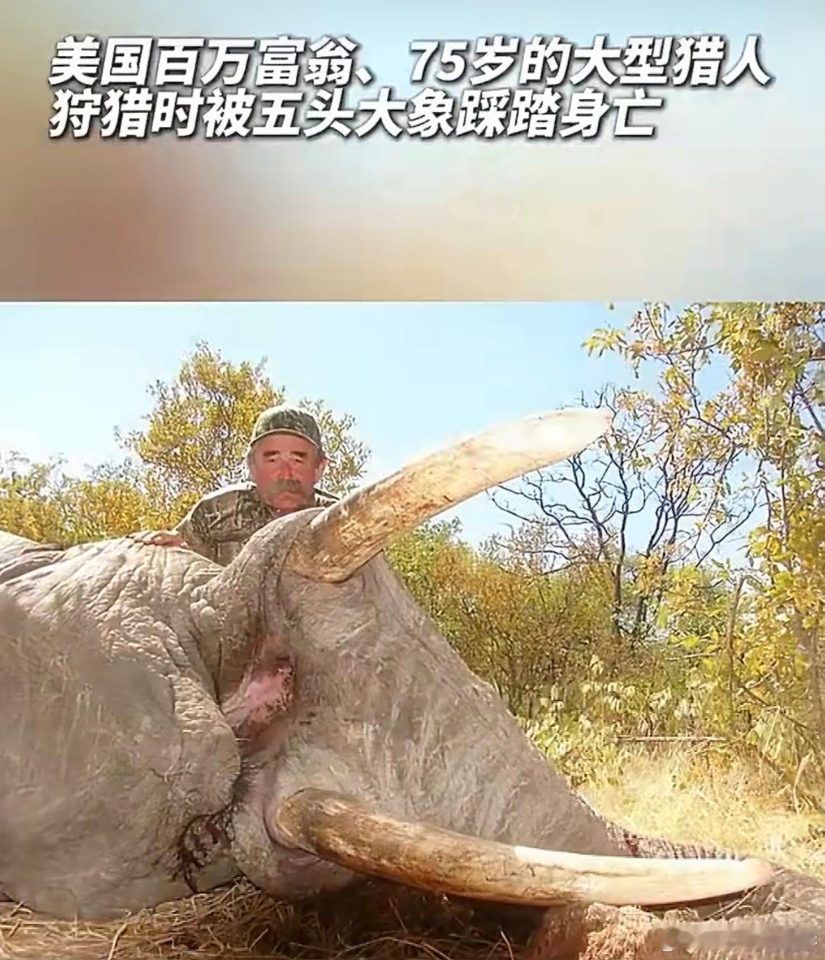 美国富豪遭5头大象踩踏身亡花巨资去非洲打猎的美国葡萄酒大亨，拥有50多年狩猎经验