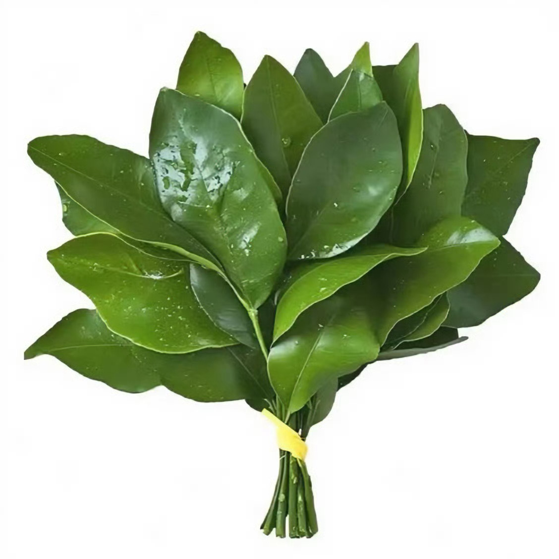 🍀柚子叶去晦气 点赞好运连连 