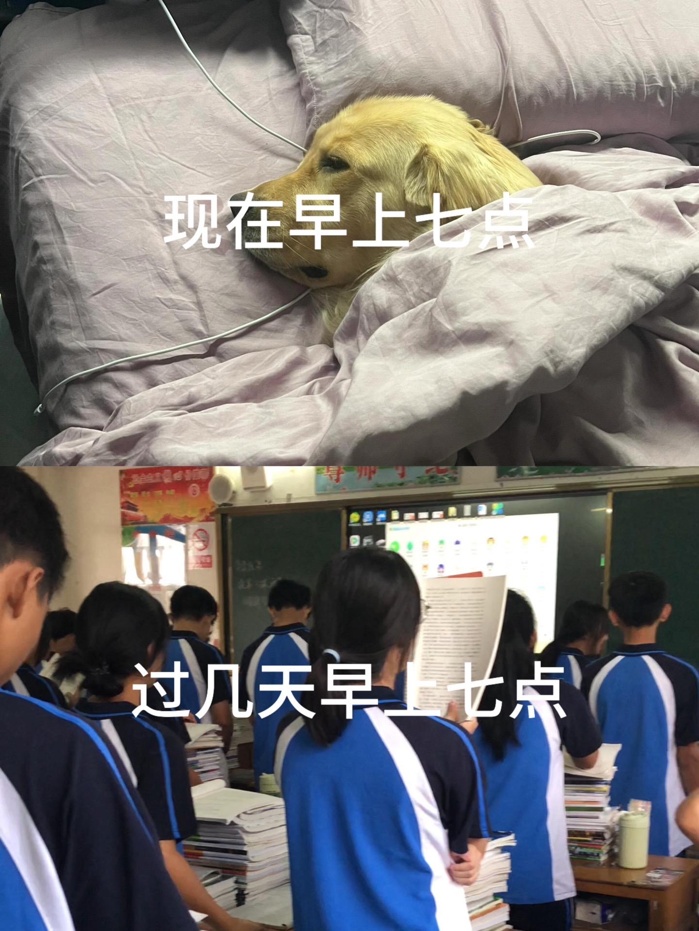 冷知识 过几天开学