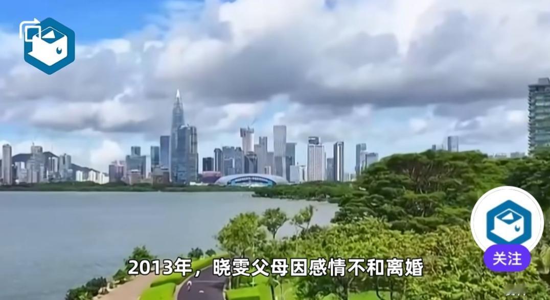 女儿为留学想卖掉其名下的房子，起诉要求病重且生活无法自理的父亲腾房。
刚在相关媒