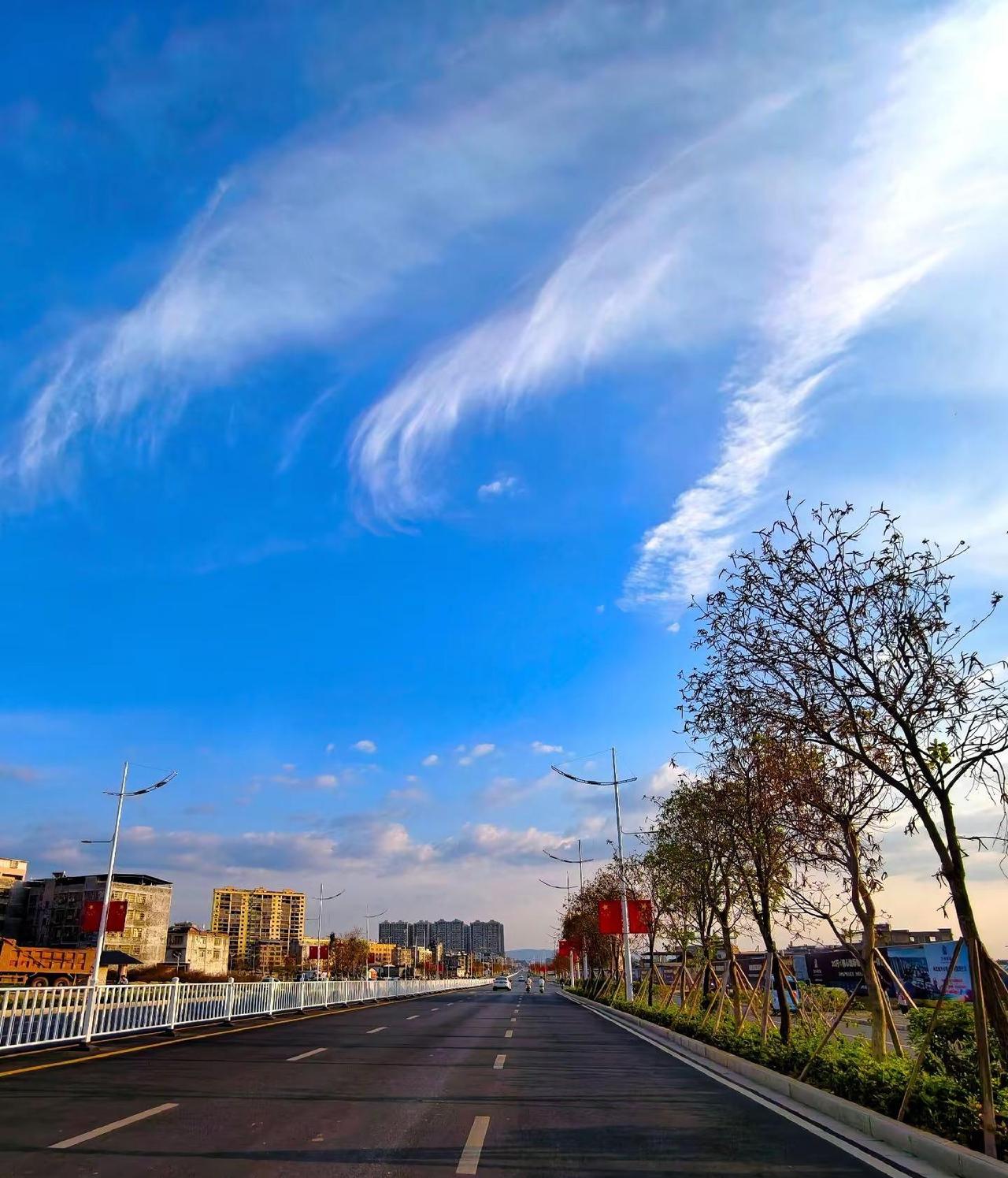 心放宽，事看淡，随它去🍃最好的状态是内心平静。