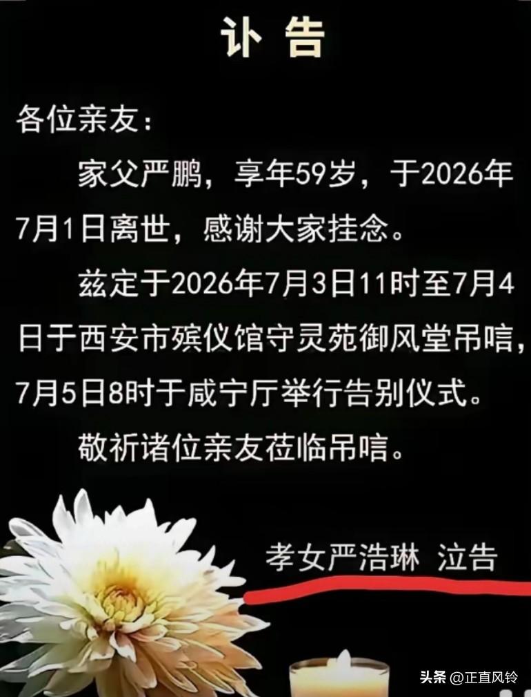 从讣告可以看出，严总没有儿子，只有一个女儿，而且女儿应该还未结婚！还没有孙辈！