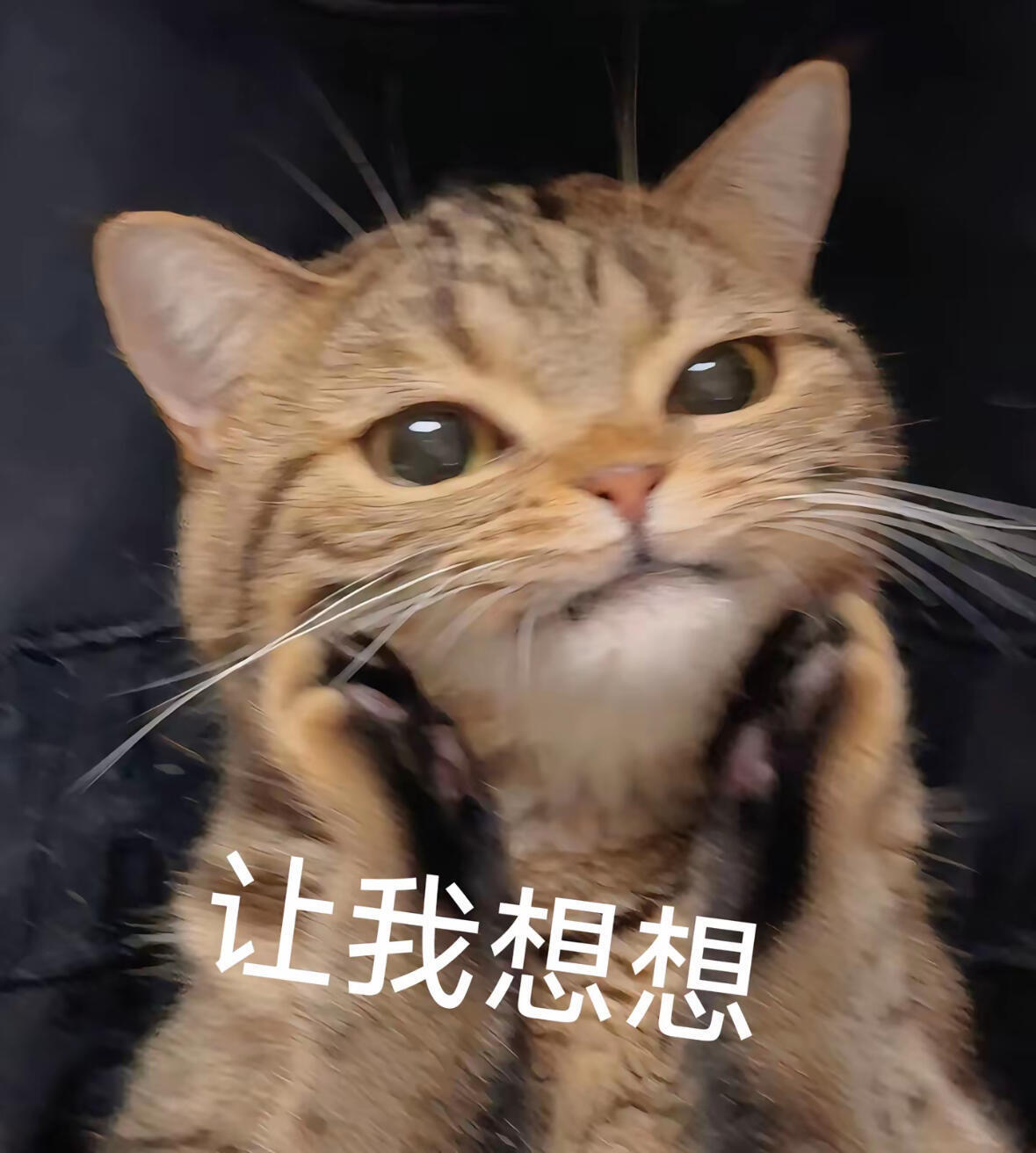 吴宣仪 不是我说，咱选演什么就看什么呗，相信咱选。而且那不就是一个瓜而已嘛，大家