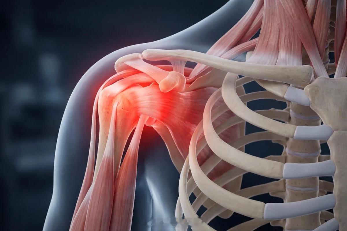 随年龄升高的蛋白质既“拖慢”肌肉修复，也可能是老年生存的关键 UCLA 的研究团