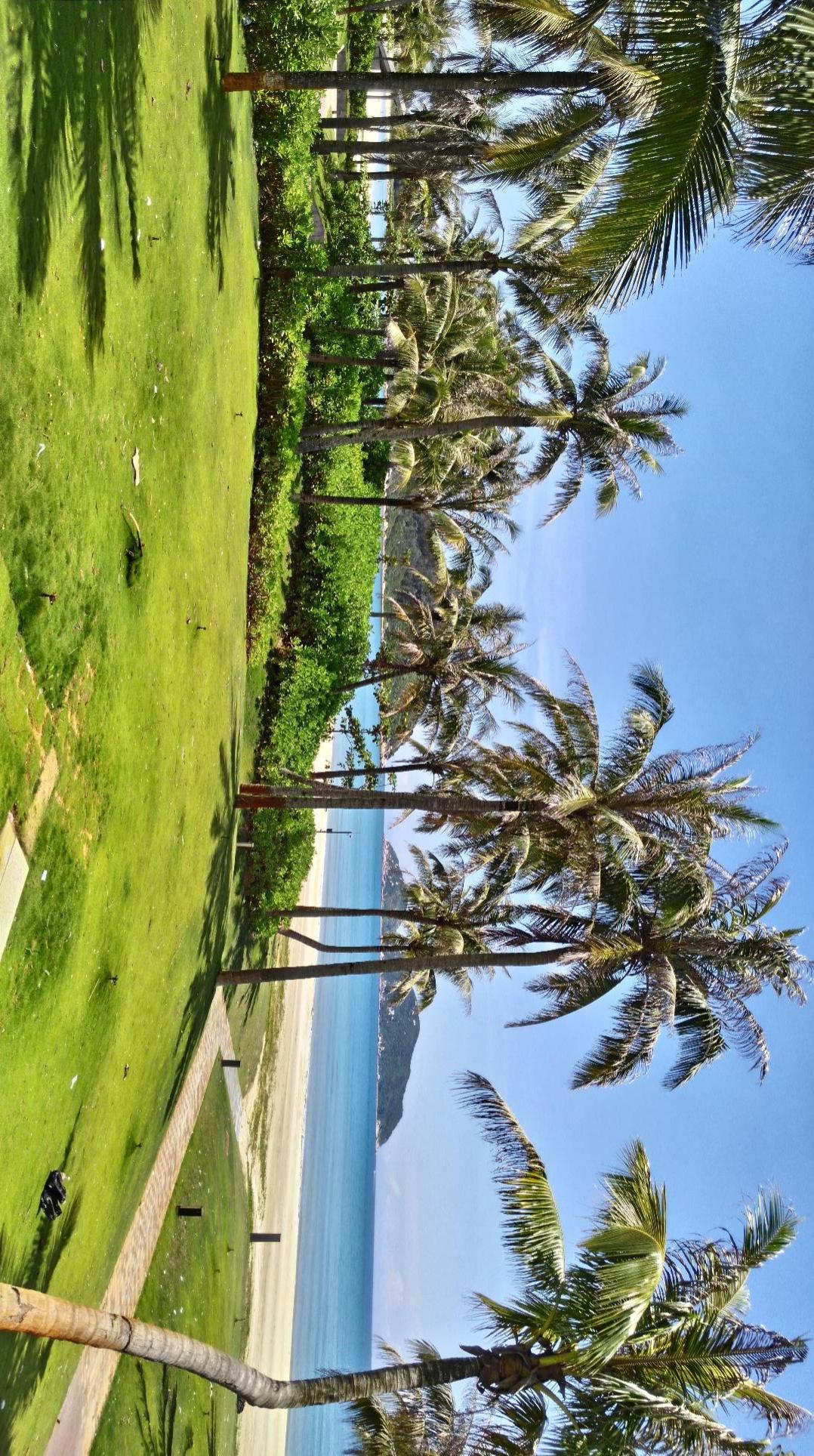海天一色，椰林沙滩，度假胜地等你来！🏖️🌴🌊
