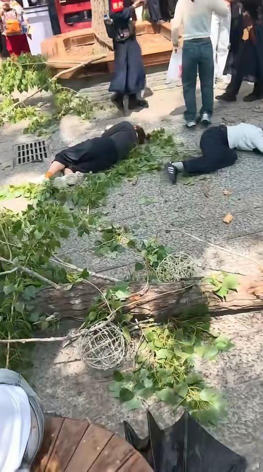 官方回应万岁山树木砸中游客突发！河南开封万岁山景区出事了！4月18日中午，景区内