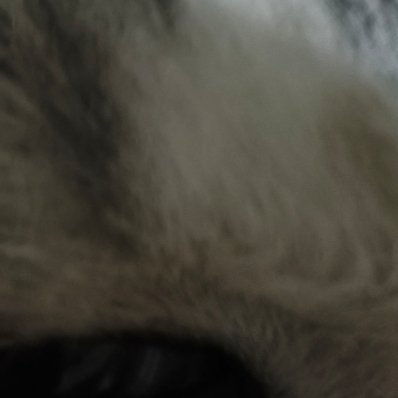 晚灯与热粥深秋的晚风带着凉意，吹得街边的梧桐叶簌簌飘落。加班到深夜的女孩拖着疲惫
