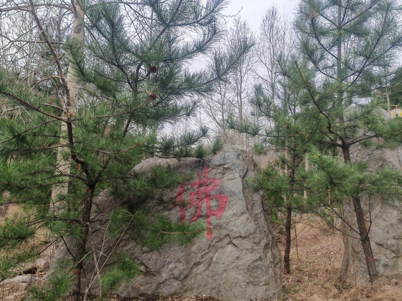 非心非佛，即心即佛。