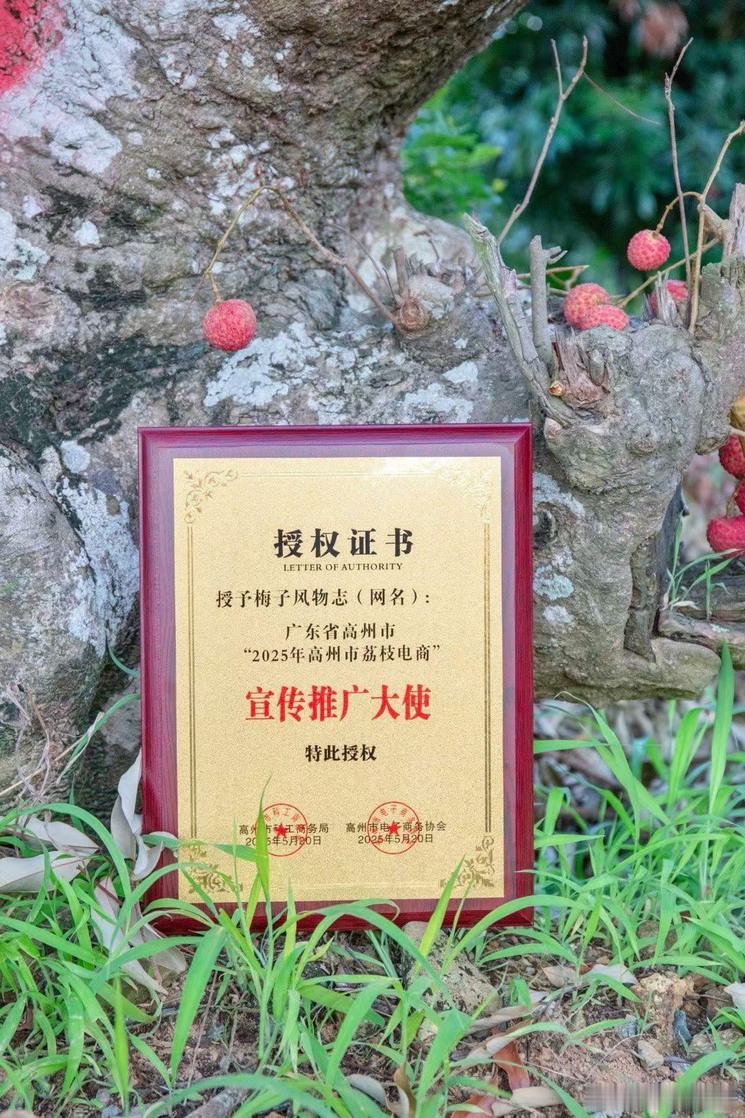 发货倒计时3天授权、挂牌、溯源码！产地真实不含糊，食品安全从树上开始带枝发货做比