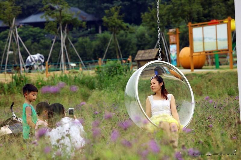 刘老师这开场悬念爆发的教学方式真绝了！就拿新一年级语文暑假阅读、习作提升课来说，