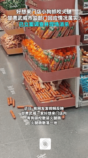 一只没拴绳的狗钻到超市最底层的散装火腿肠货架上，又扒又舔，好几根火腿肠散了一地。