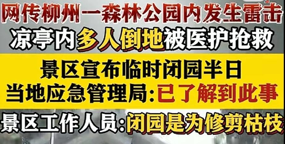 广西一森林公园凉亭遭遇雷击
多人倒地被医生抢救
疑似游客在凉亭玩手机
被雷电击中