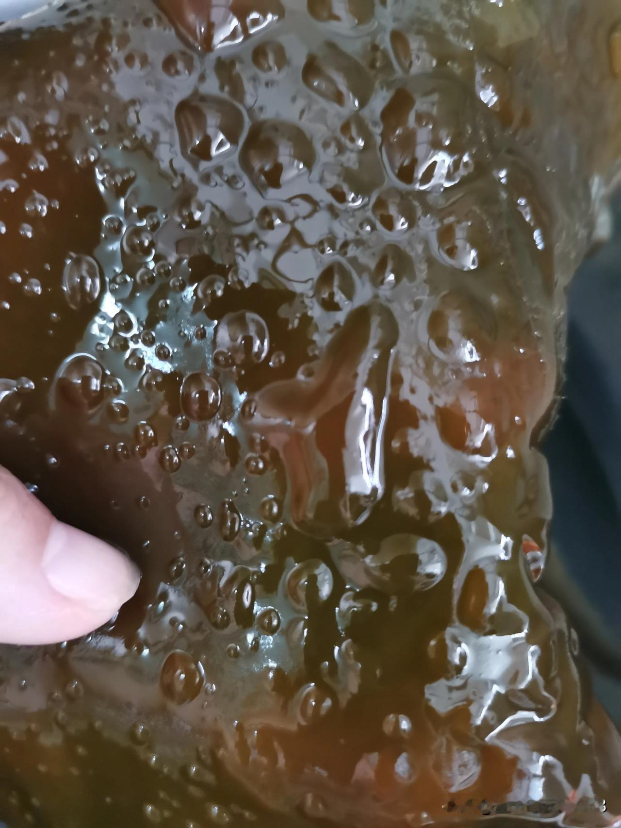 海带泡发后很多气泡，还能吃吗？
我在网上买的干海带
泡发洗干净后，发现海带里面长