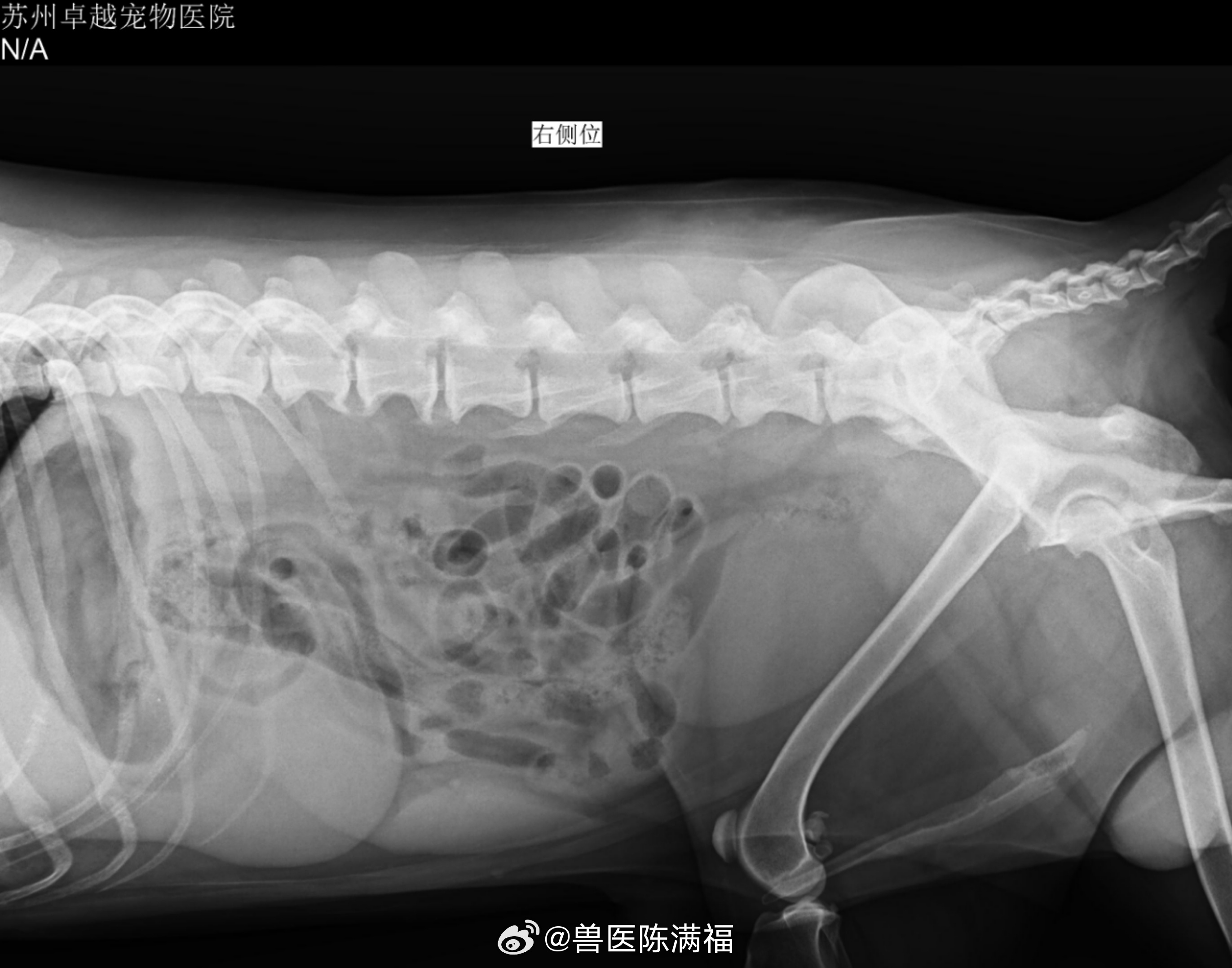 X光知识分享。最后这三张图是不是髂下淋巴结肿大？轻度肿大。还有腹部的肿块当时怀疑