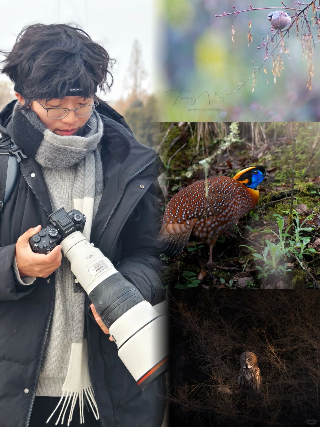 24岁在Top2，发篇nature