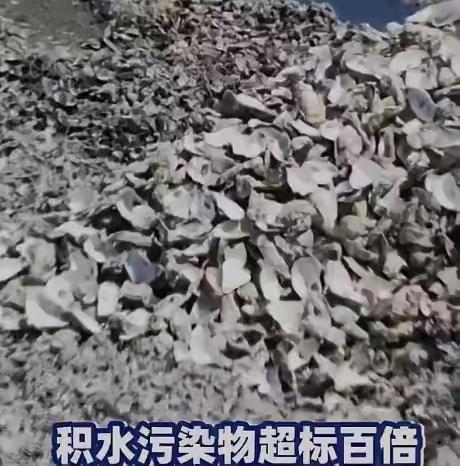11万吨！中央督察组在广东潮州，挖出一堆“吃人的生蚝壳”！6月2日，中央生态环保