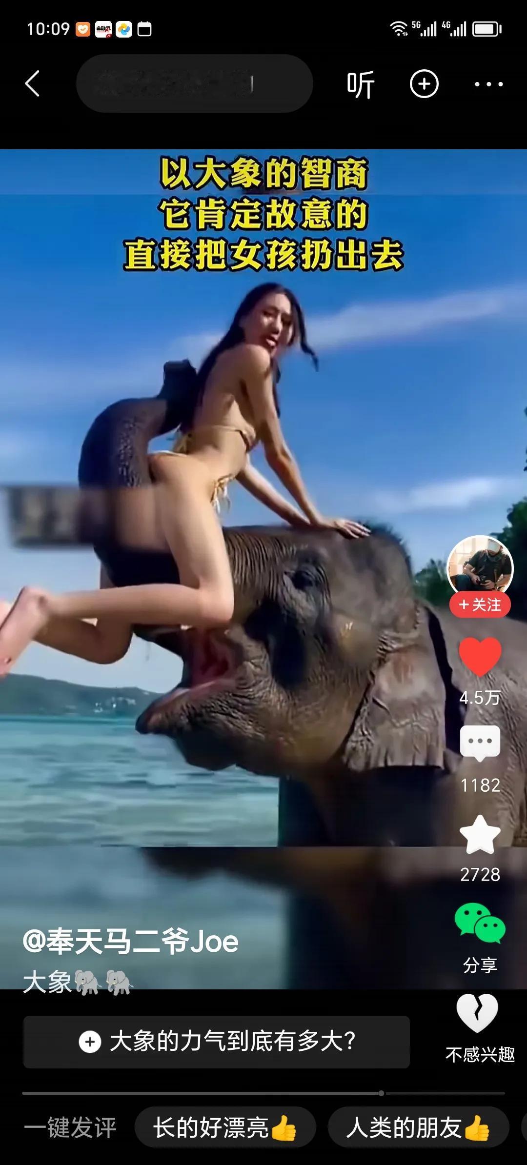 这种感觉，是大象爽啊，还是女孩子更爽？！
         看视频，大概率是在泰