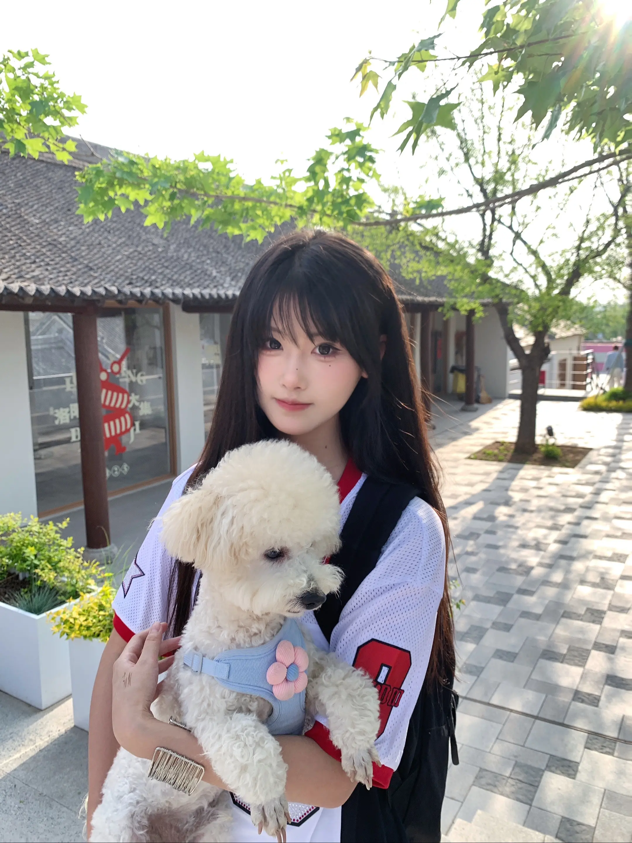 可爱小狗…偷走