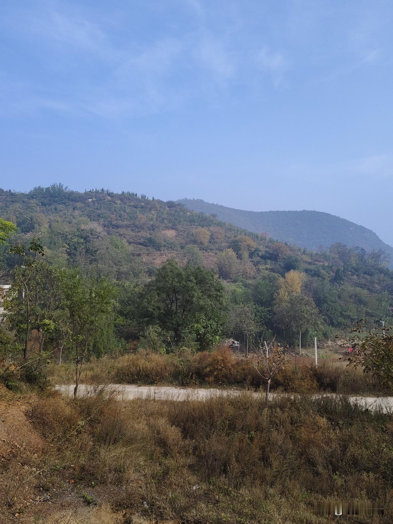 《秋山闲意》
 
当秋阳轻洒在这片山野，层林尽染处便漾起了诗意的涟漪。远处的山峦