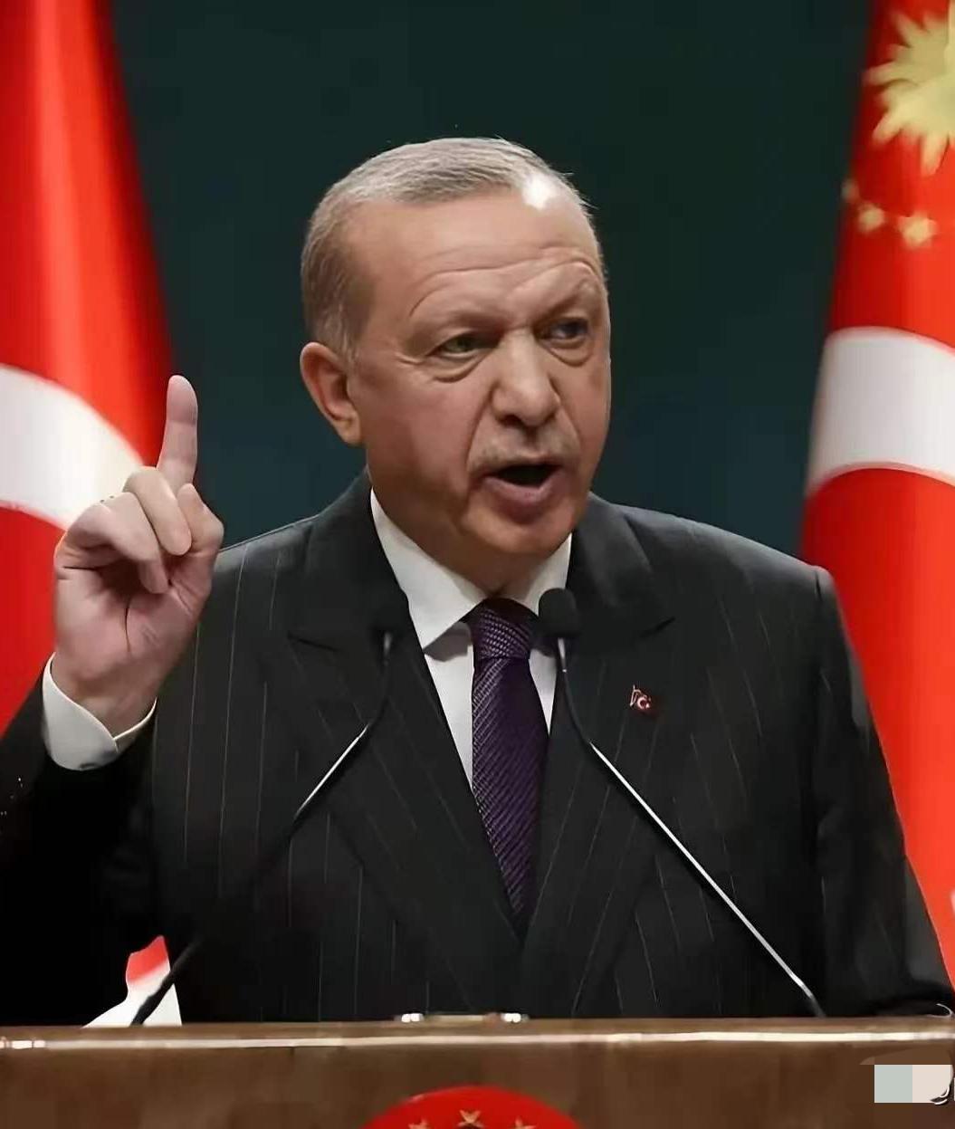 中国和土耳其谈话了。
3月25日，土耳其终于等不了了，一通电话打到了中国，土耳其