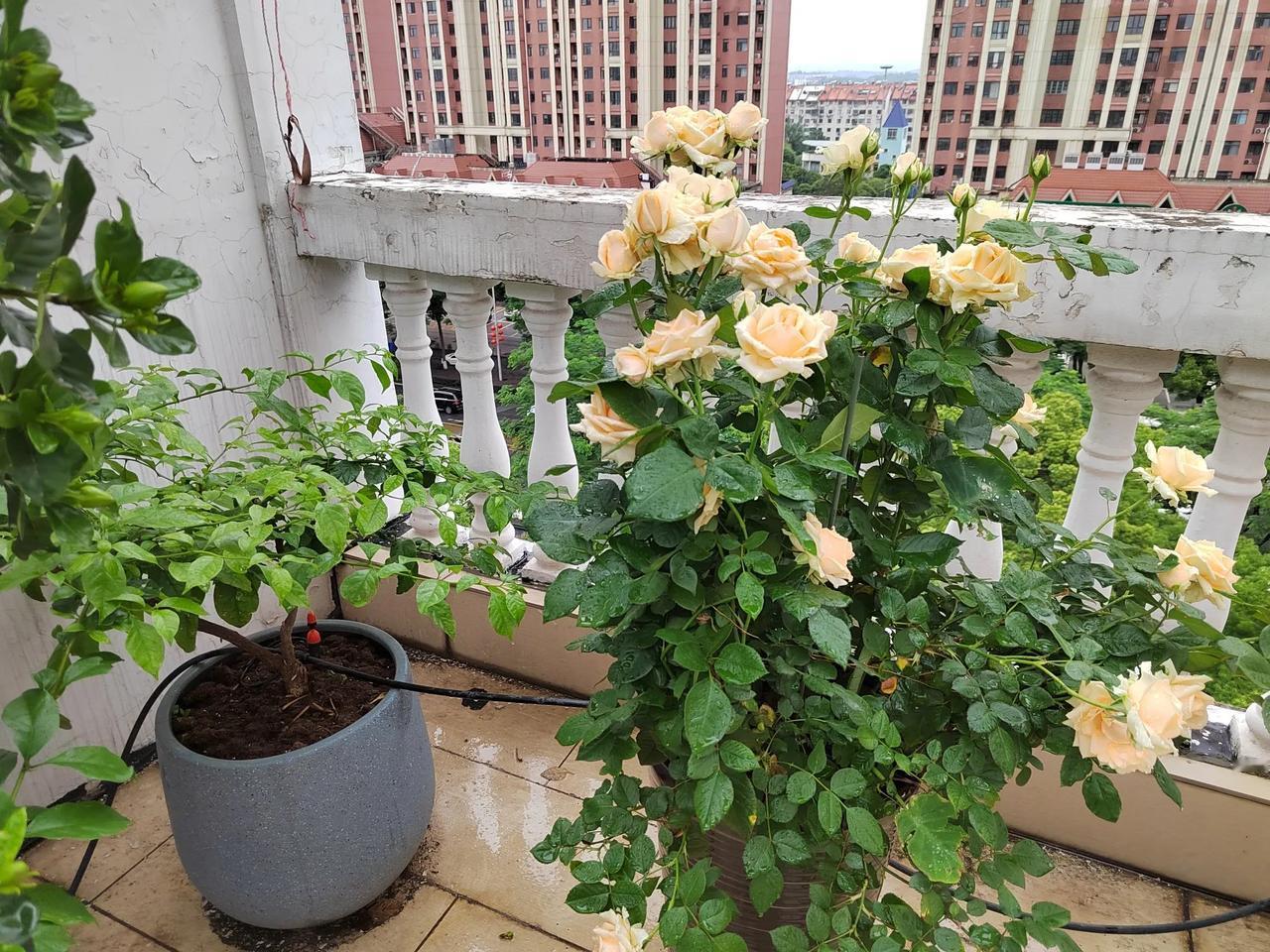 晒一张旅途风景照
