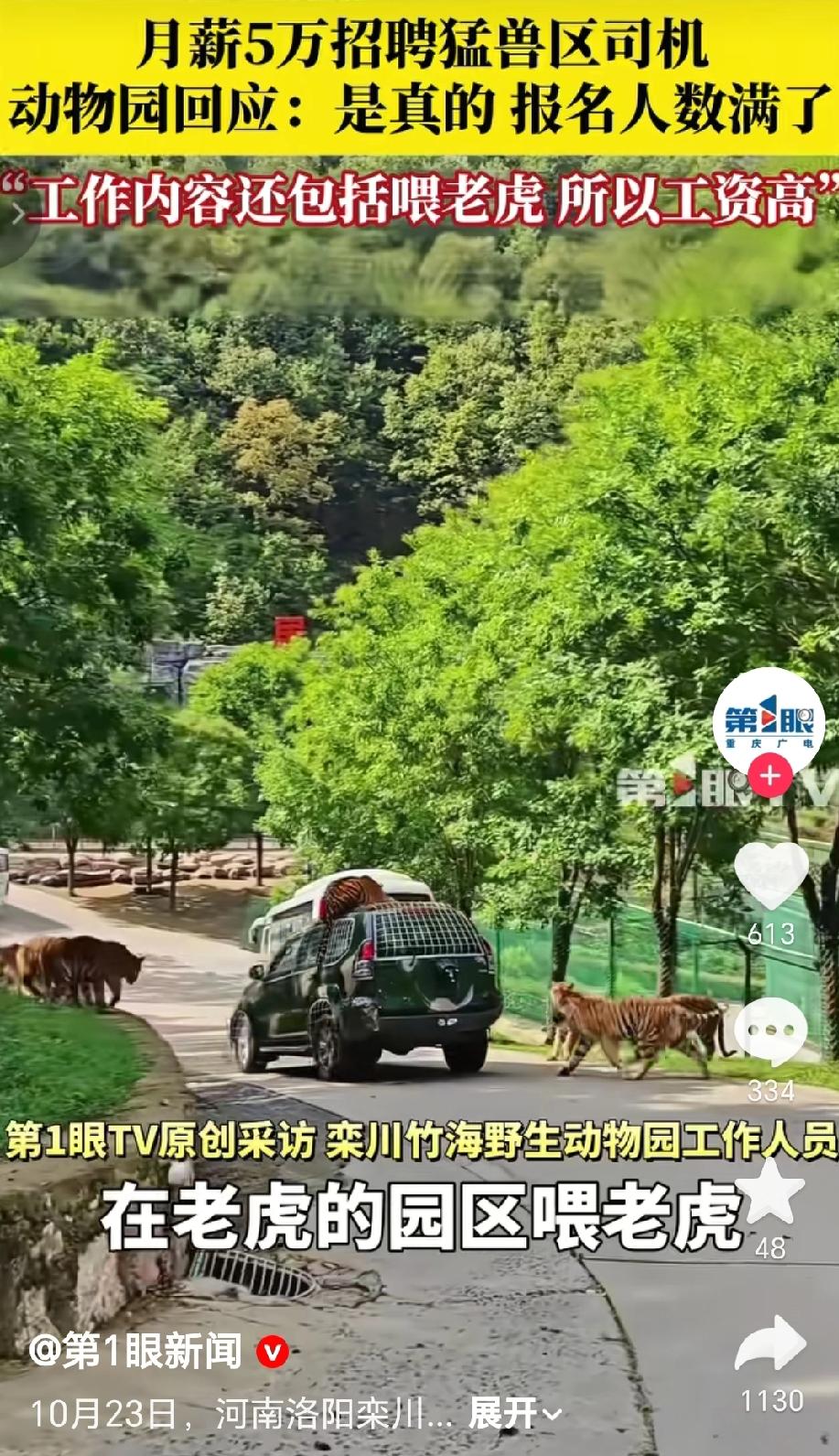近日河南洛阳栾川竹海野生动物园高薪招聘猛兽区司机引起网友们的热议，该动物园月薪5