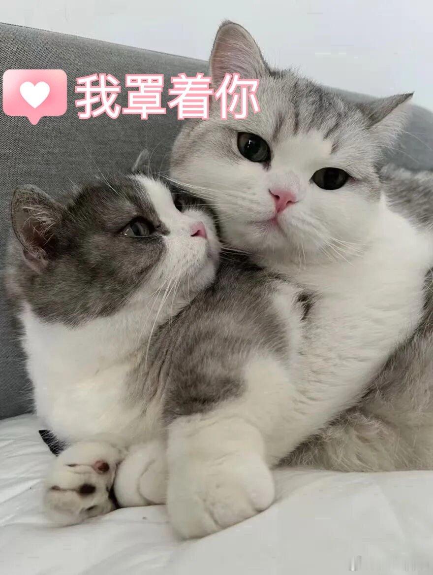 健康的包容，就是我罩着你。这是一种大哥心态。路上有石子，我怕你绊倒，我主动蹲下去