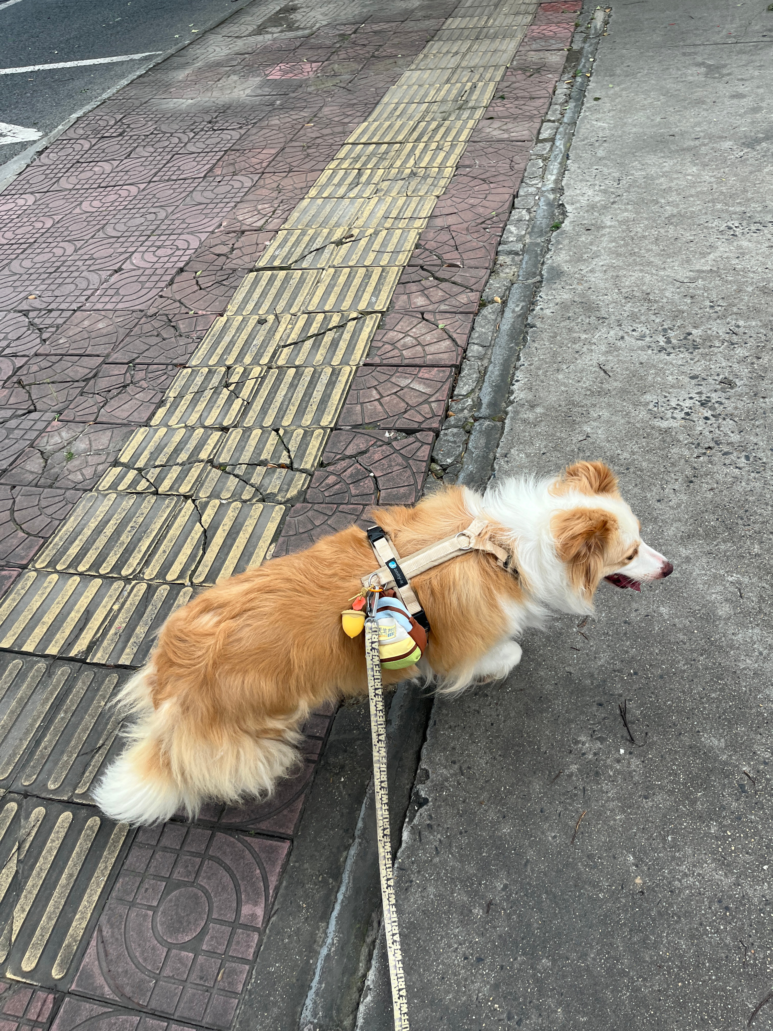 台风天——千岁日记