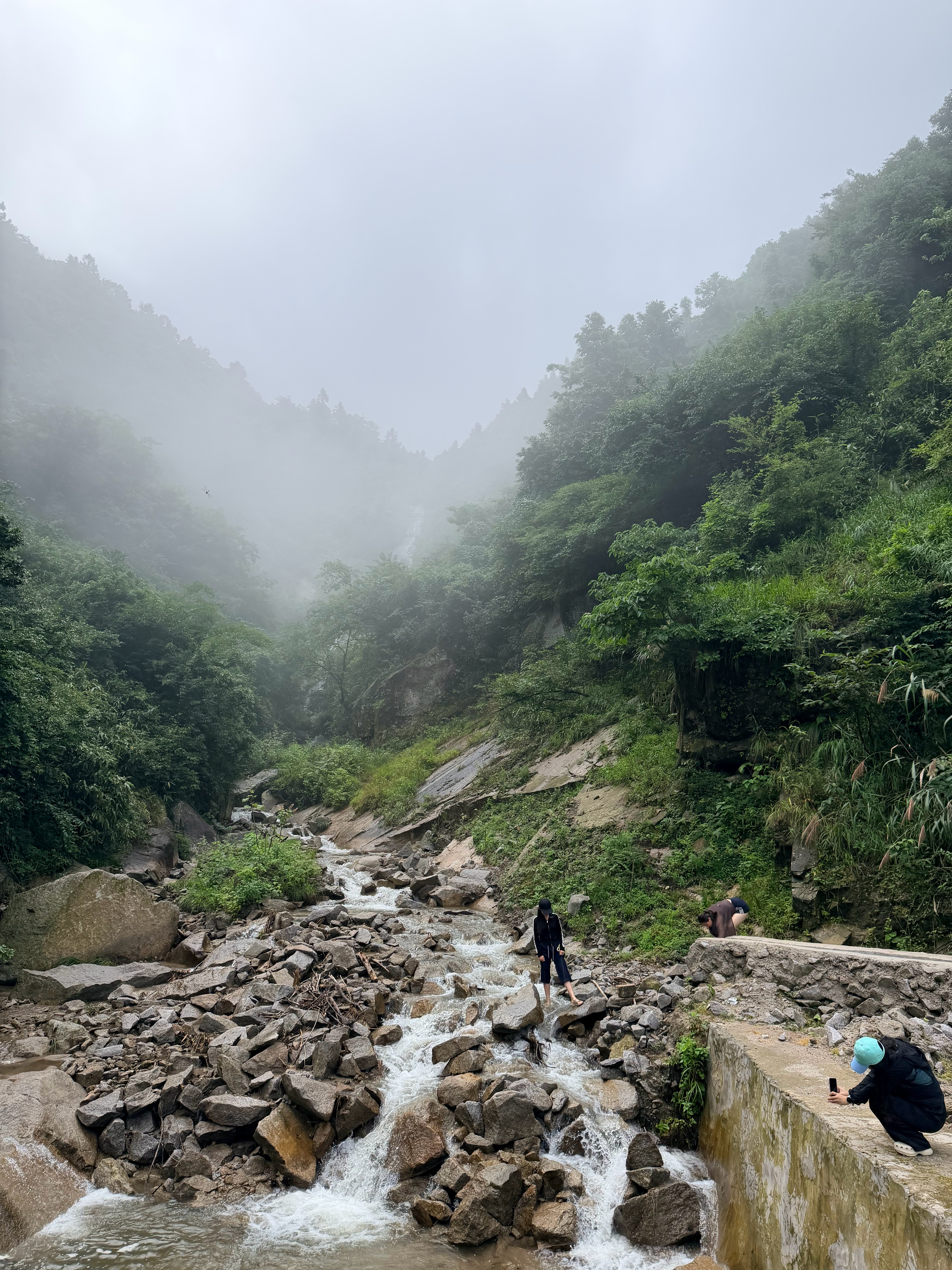 我一拖三 