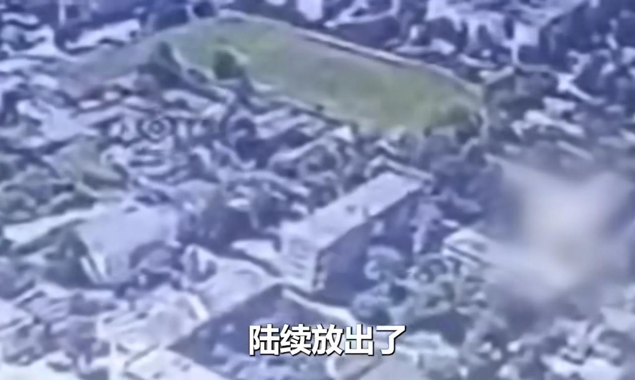 脑子打结
自9月份以来，俄军无人机部队陆续播放了不少攻击乌克兰征兵办的视频。
俄