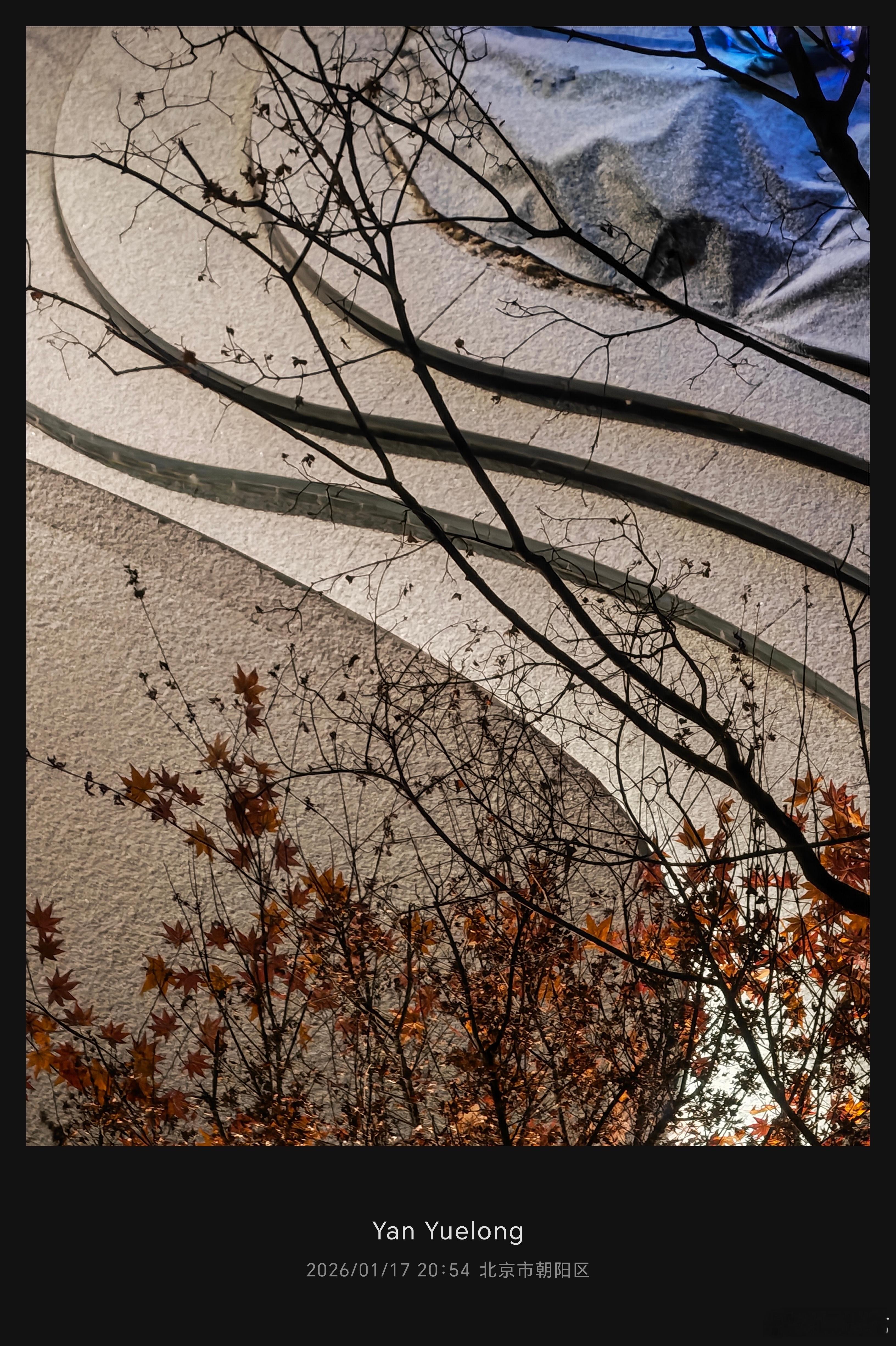 雪越下越大北京下雪