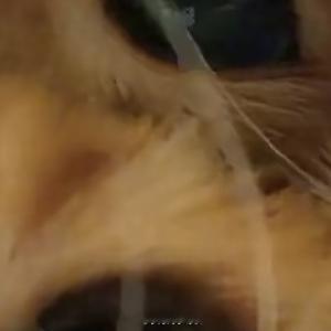 晚安心语 “今天你已经很棒了。现在，把烦恼打包交给月光去融化，把希望折成纸船放在