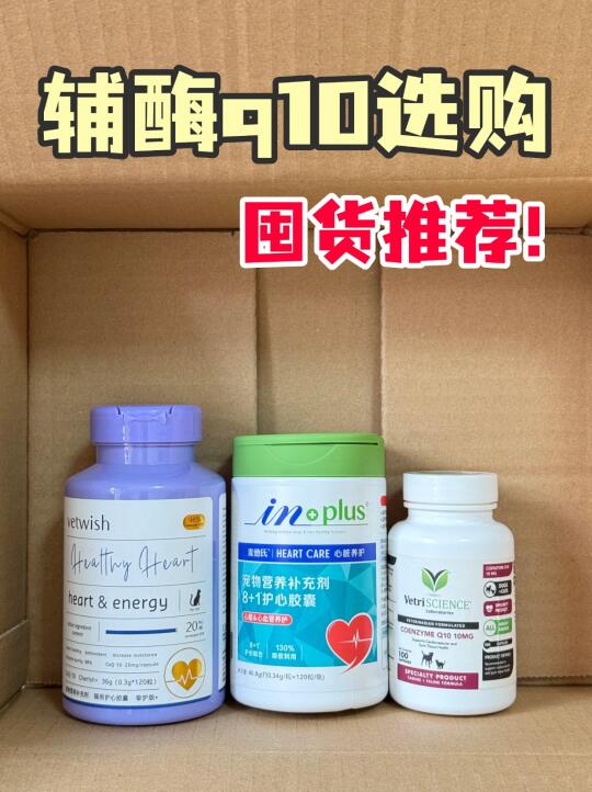 别瞎选！猫咪辅酶q10攻略看这篇！