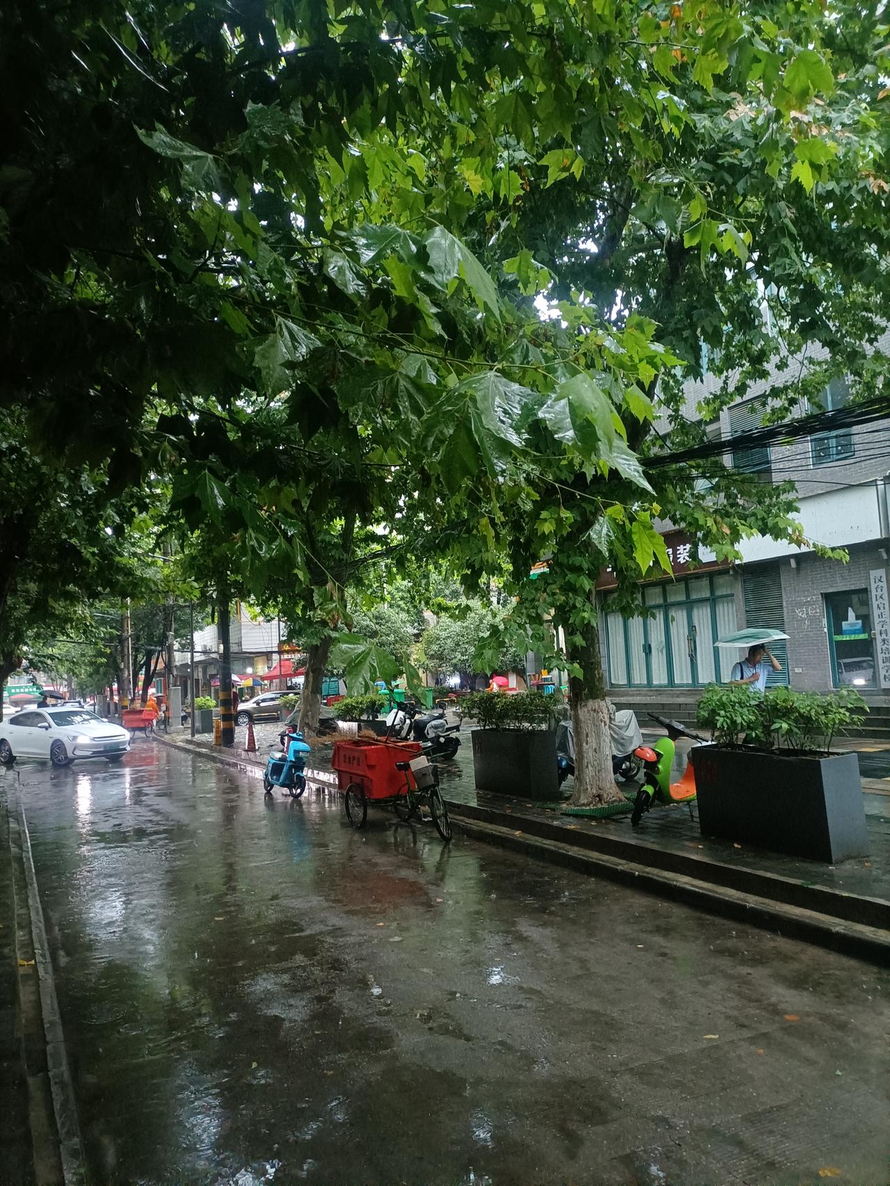 【夏之韵·漫步雨中，修心养生】夏日生活打卡季
终于下大雨了。
很难一觉睡到早晨七
