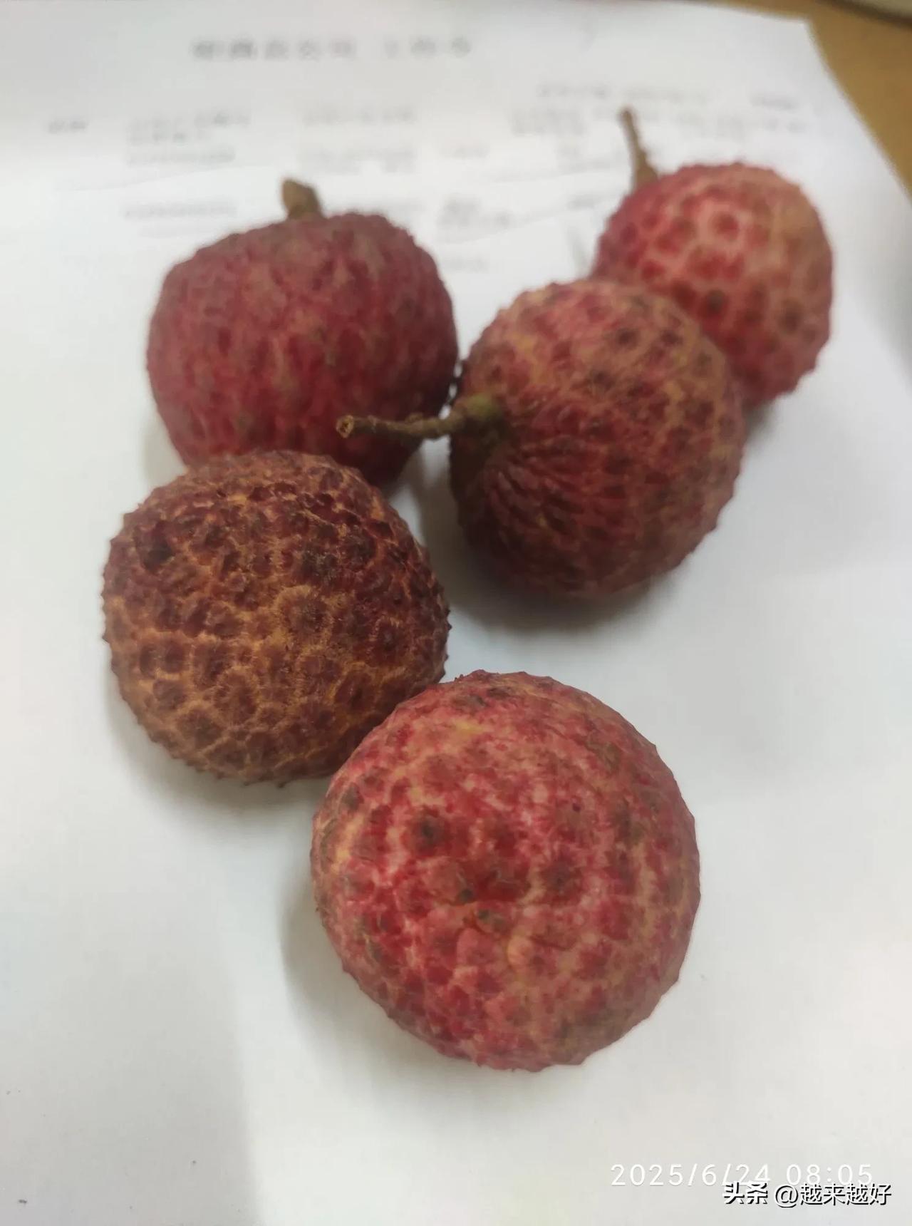 早上上班，一来就看到桌子上摆着几颗极品荔枝。
心中把会送我荔枝的人都过了一遍，却