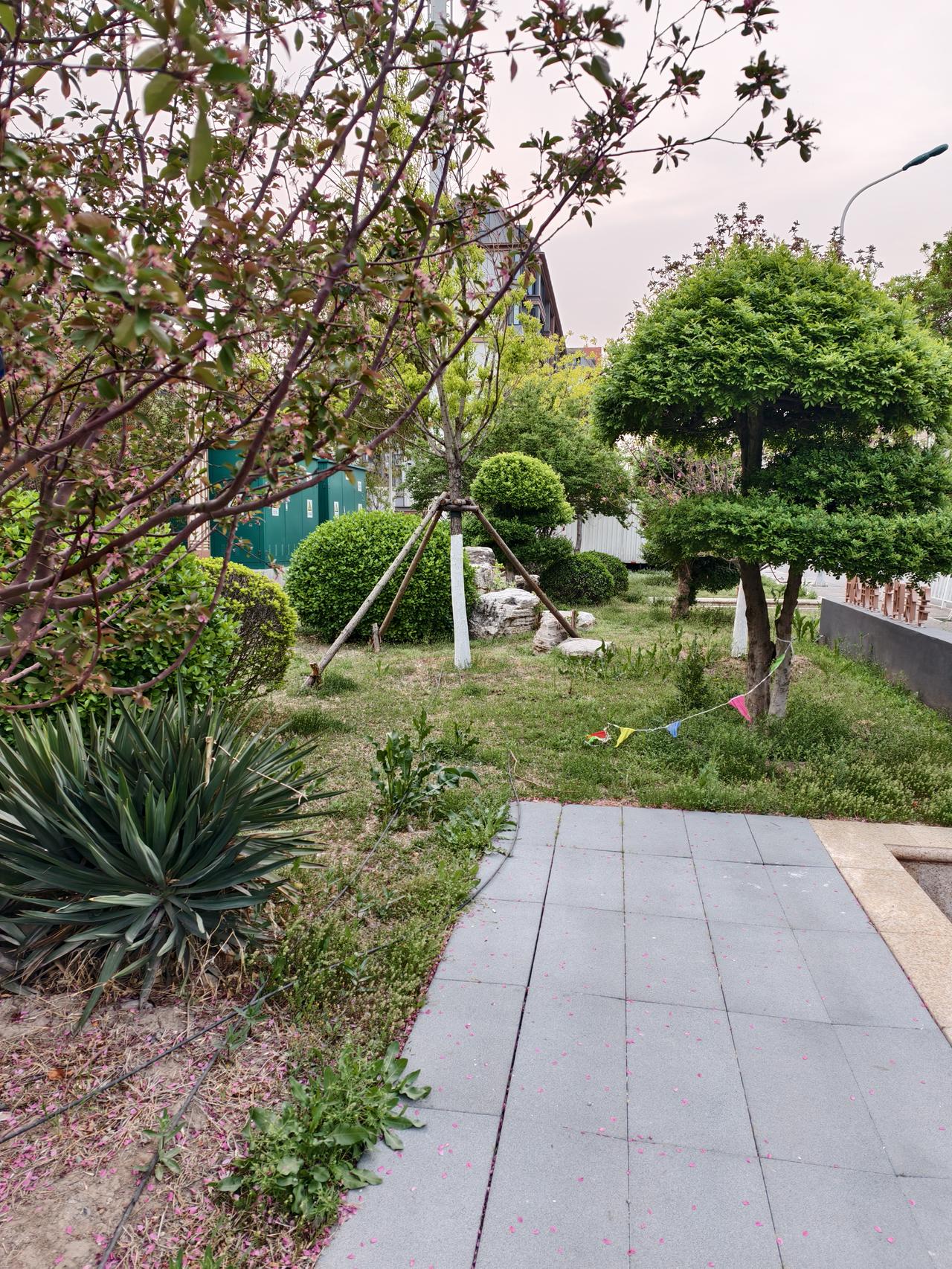 春天，街心公园各种绿植已经全绿，呈现在街头，非常怡人、心情愉悦！