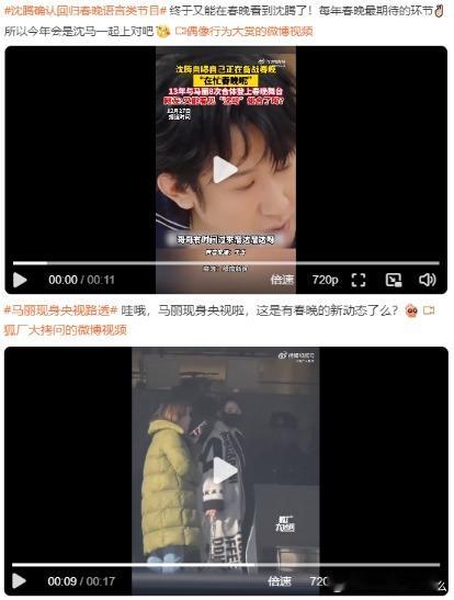 今年春晚可以看到沈腾马丽合体吗 