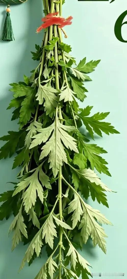 明天就是端午节了，每年端午节的流程大家是不是都一样，割艾草挂门头，艾草远三根，五