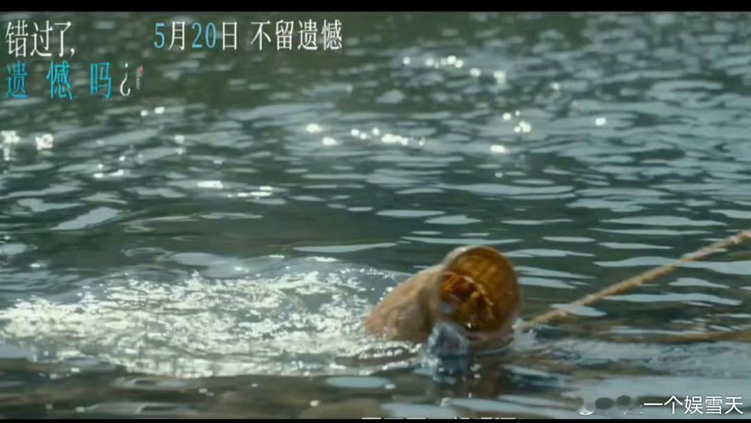 电影错过了遗憾吗终极预告看完终极预告瞬间破防！《错过了，遗憾吗》写尽成年人的遗憾