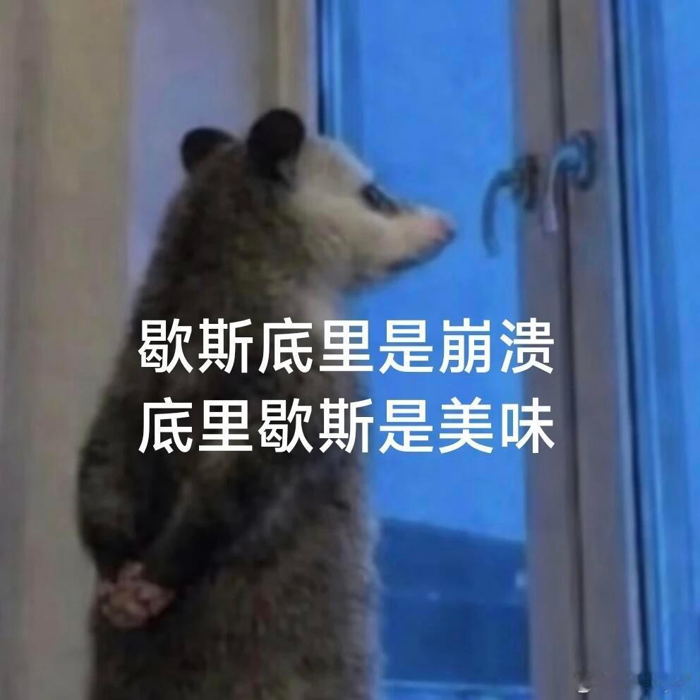 负鼠表情包2.0 