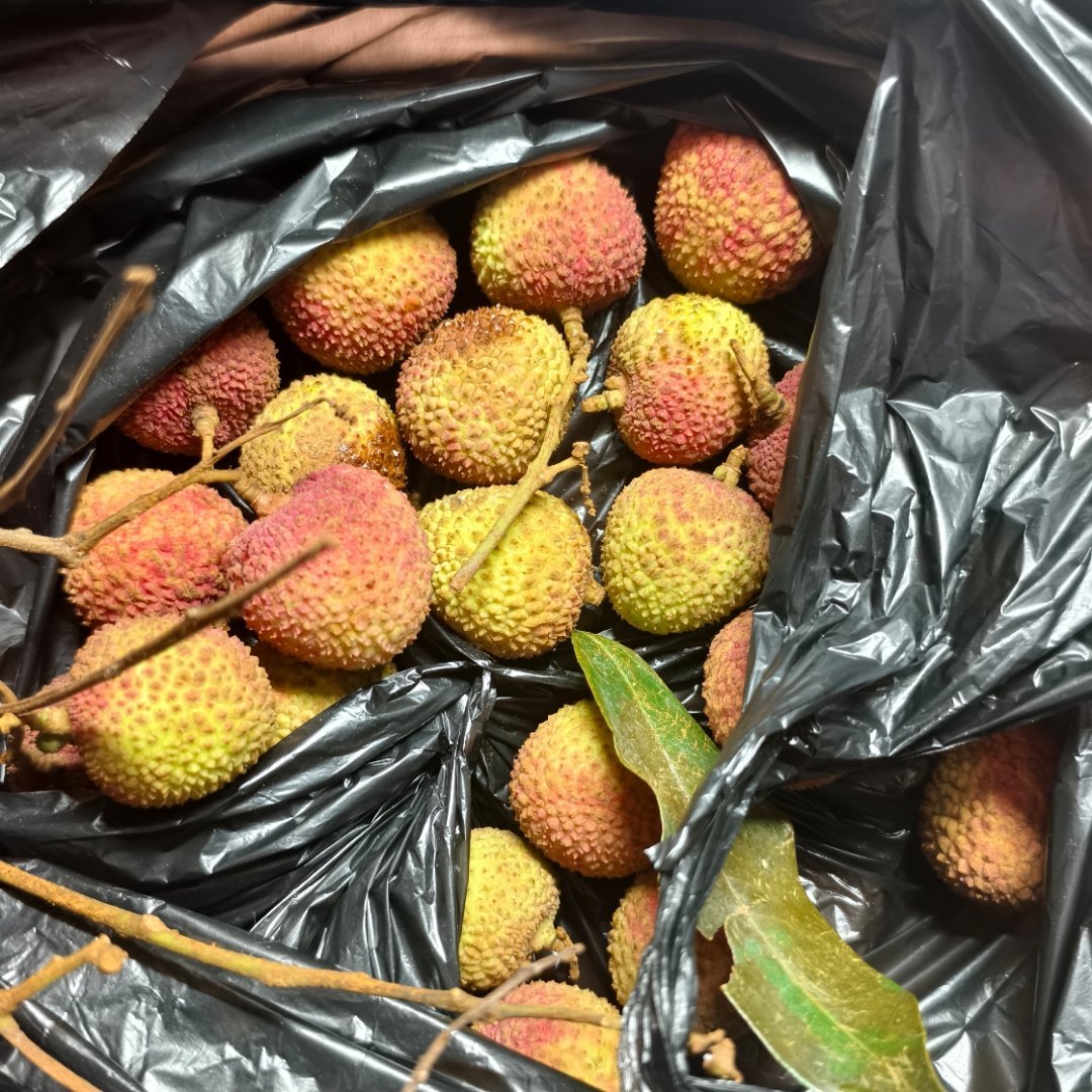 吃到了甜出酒精味的荔枝，核很小而且非常非常多汁，掉一滴汁水在地板蟑螂都会狂欢一个