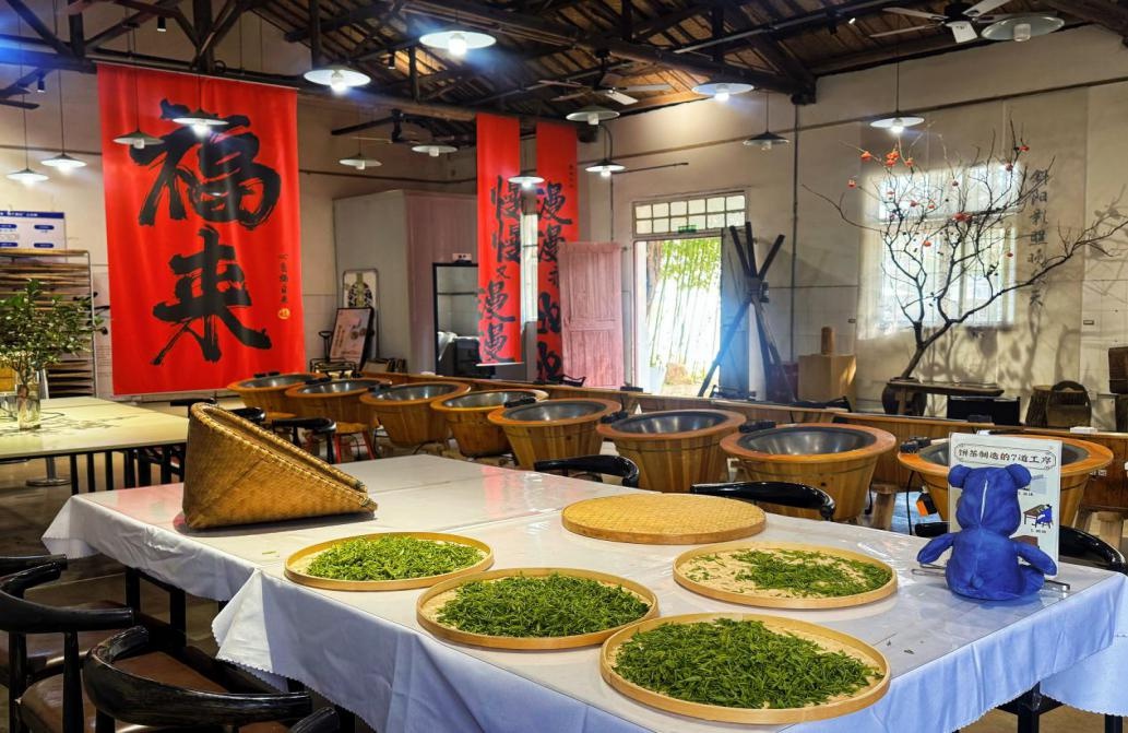 春茶首炒，武汉60年老茶厂带村民就业，推销时令果蔬销路和旅游业