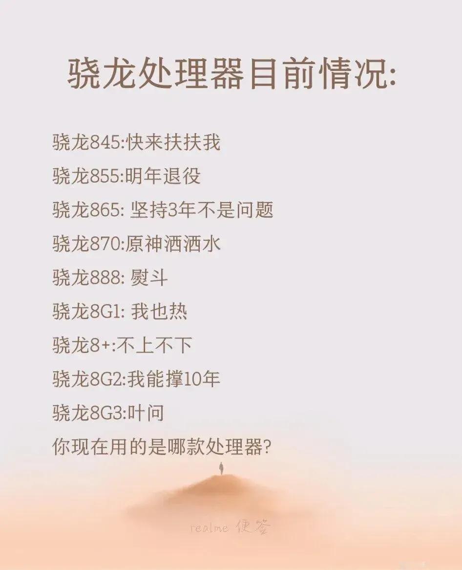 据说这是高通骁龙处理器的目前状况。
从骁龙845到骁龙8Gen3处理器，你用的是