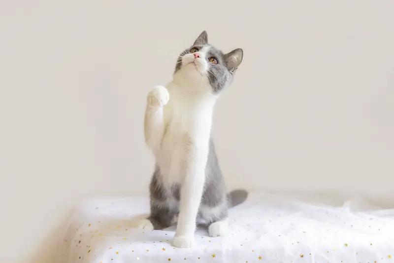 你说，人为何要结婚呢？
难道仅仅是找个人分摊房租，
一同背负30年的房贷？
接着