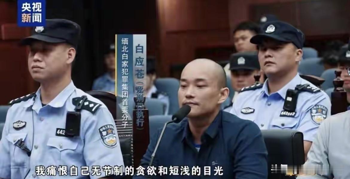 炸裂全网！缅北16条鲜活人命，警方拼尽全力，只带回5具遗体1份骨灰

10月5日