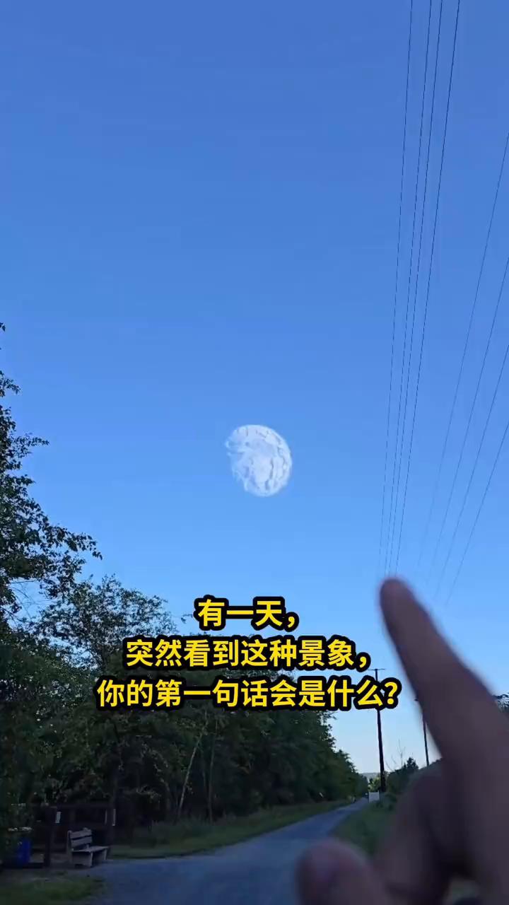 有一天，突然看到这种景象，你的第一句话会是什么？