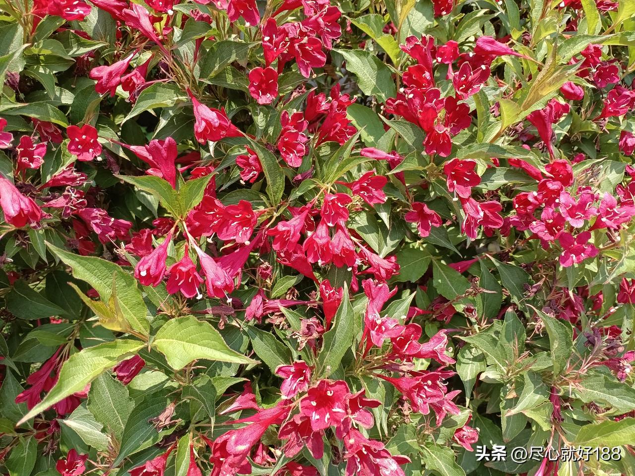 明天妈妈就是2026年第一次住院十天了，我就是第九天了，应该可以商量出院了。
