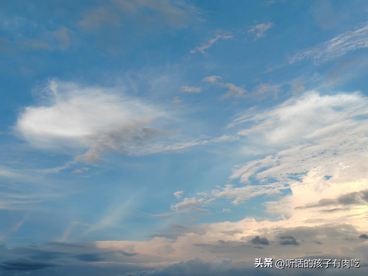 中国新能源汽车之所以能做到世界第一，原因无他，说是“被逼”的一点都不过分！

以
