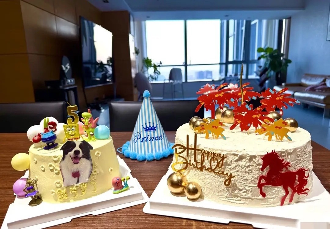 马景涛情人节迎来64岁生日，和可爱狗狗一同庆祝生日！ 